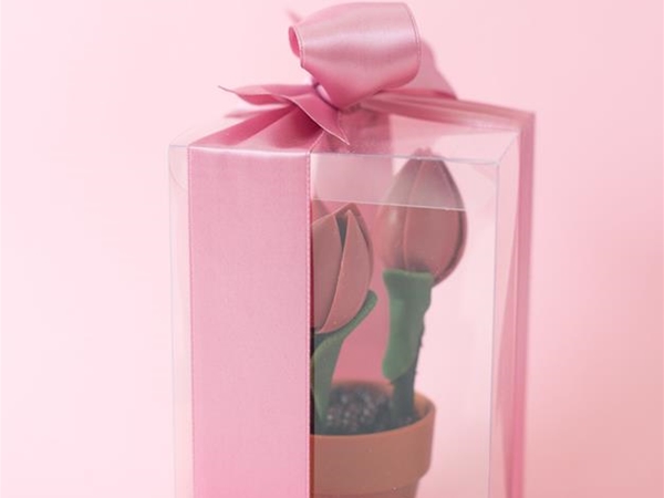 Choc.Tulp in choc.bloempotje